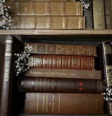 Vintage Book Lot | BROWN Colors | Library Bookshelf Decor | Old Library Staging