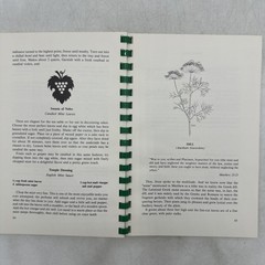 Herbs & Spices of the Bible Cookbook Marian Maeve O’Brien 1984 CBP Press Spiral