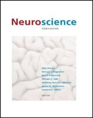 Neuroscience, Fourth Edition – Hardcover By Dale Purves – GOOD
