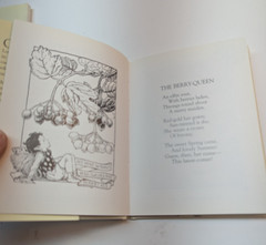 LOT OF 2 Flower Fairies of the Autumn & Spring by Cicely Mary Barker Paperback