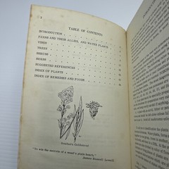 Common Edible and Useful Plants of the West Muriel Sweet c1962 PB 116 Plants