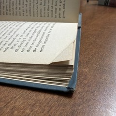 Antique Book – 1900s “Elizabeth and Her German Garden” by Elizabeth von Arnim