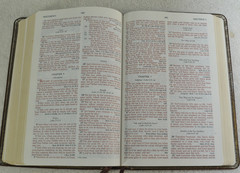 The Open Bible Expanded Edition NASB Brown Genuine Leather RL 1985 Nelson 976BR