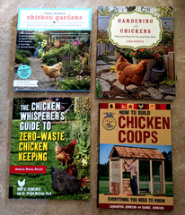 Raising Chickens Book Lot of 4 Softcovers – FAST SHIPPING