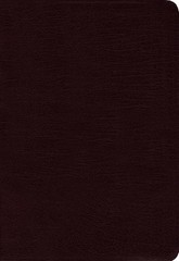 Amplified Bible