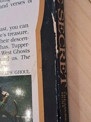 The Secret: A Treasure Hunt 1982 First Edition Bantam Paperback Palencar Preiss
