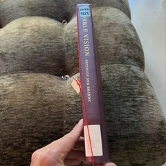 Hubble Vision Petersen And Brandt Book