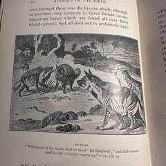 1901 The Animals Of The Bible Gambier Bolton Illustrated Natural History Book
