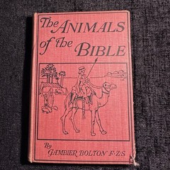 1901 The Animals Of The Bible Gambier Bolton Illustrated Natural History Book