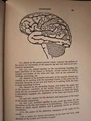 The Ideas That Have Influenced Civilization 1902 – 10 volumes