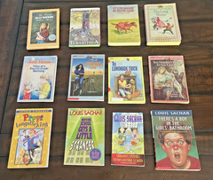 Vintage Children’s Book Lot 12 Little House Series Sachar Blume Paterson 70s-90s
