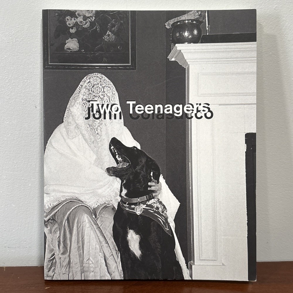 Two Teenagers by John Colasacco (2016, Horse Less Press) First edition