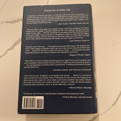 A Little Life by Hanya Yanagihara (2015, Hardcover) First Edition
