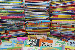 Lot of 25 of Children’s Kids Chapter Books – Random – Free Shipping!