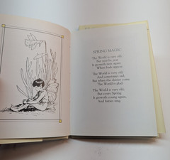 LOT OF 2 Flower Fairies of the Autumn & Spring by Cicely Mary Barker Paperback