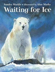 Waiting for Ice, School And Library by Markle, Sandra; Marks, Alan (ILT), Bra…