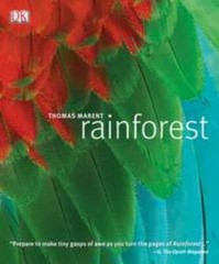 Rainforest by Thomas Marent