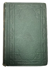 Wild Oats Sown Abroad On Off Soundings Theodore Whitmer 1872 Antique Book