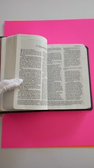 NIV Holy Bible Tyndale House Compact Brown Pink Floral OOP Imitation Leather
