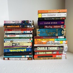 Lot of 10 Random 6th-7th grade Children’s Kids Chapter Book Some series Middle