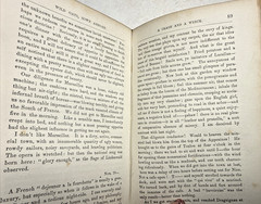 Wild Oats Sown Abroad On Off Soundings Theodore Whitmer 1872 Antique Book