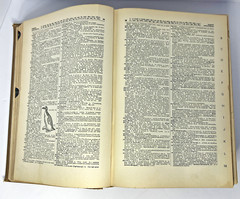 Antique 1928 Funk & Wagnalls Practical Standard Dictionary Hardcover
