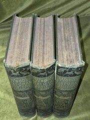 Wood’s Illustrated Natural History Mammals Birds Reptile