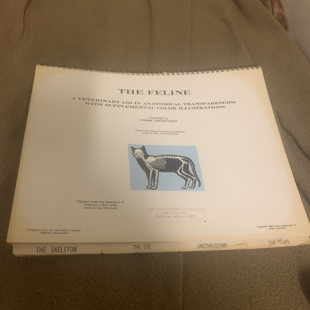 Vintage 1968 The Feline Veterinary Aid Anatomical Transparencies Fromm Labs cat