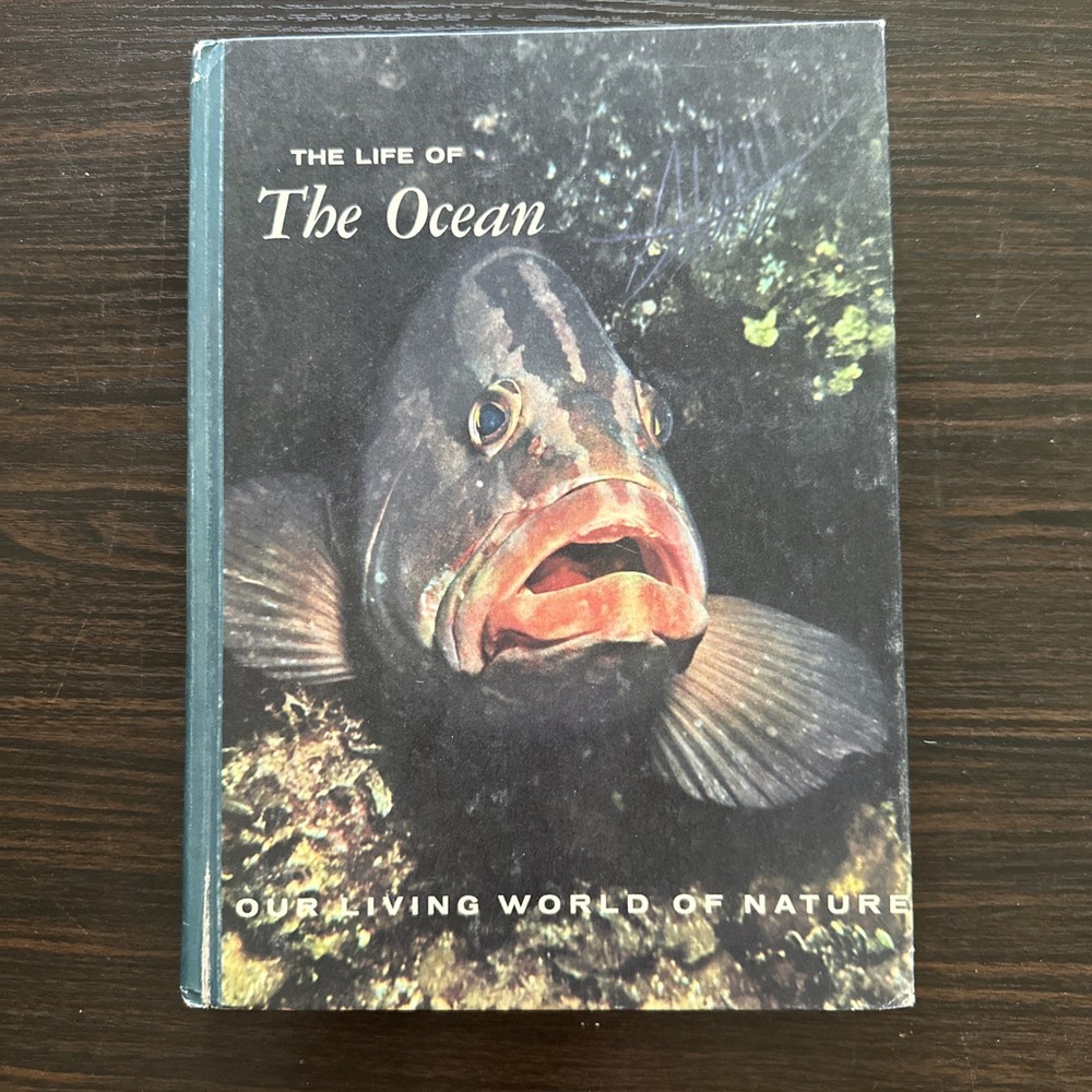 The Life Of The Ocean ~ Our Living World Of Nature ~ Dept. Of Interior