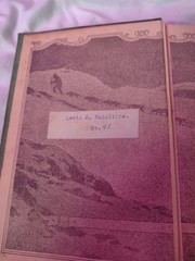 Vintage The Call of the Wild HC by Jack London 1906 Print Grosset & Dunlap Book