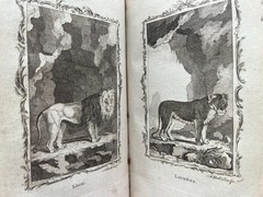 1785 Natural History General and Particular Count De Buffon Smellie illustrated