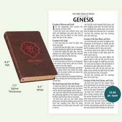 KJV Kids Bible, LARGE PRINT 40 Pages Full Color Study Helps, Presentation INDEX