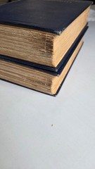 The Cosmic Relations and Immortality Two Volume Set 1919 by Henry Holt
