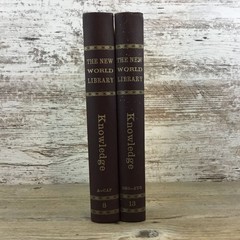 Vintage 1965 The New World Library Alcuin Press Volumes 8 & 13 Knowledge Hardcov