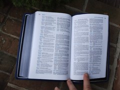 NIV Single Column Ref Wide Margin Personal Bible -$229.99 Retail Blue Goatskin