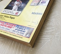 The Real Yellow Pages (YP) 2007 Reading PA Pennsylvania Area Codes 610 484 Rare