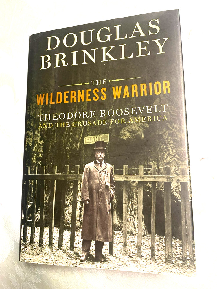 RARE 1ST EDIT! The Wilderness Warrior : Theodore Roosevelt by Douglas Brinkley