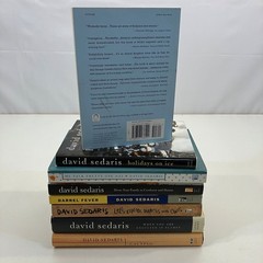 Wit and Humor Essays Books David Sedaris American Humorist 8 Book Lot Holiday