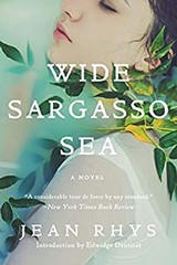 Wide Sargasso Sea Paperback Jean Rhys