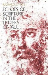 Echoes of Scripture in the – Hardcover, by Hays Richard B. – Acceptable j