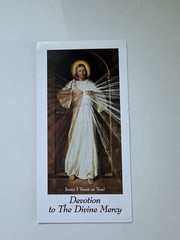 Marian Press Devotion to The Divine Mercy PB Pamphlet 1993 Illus MPL Series