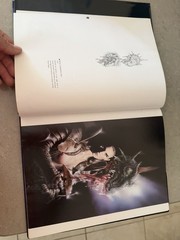 Luis Royo Malefic Fantasy SciFi Art HCDJ Warrior Women 1996-99 NBM Publishing
