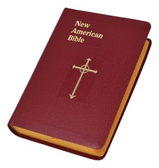 The New American Bible: Burgundy, Simulated Leather, Stained Edges, Saint Jo…
