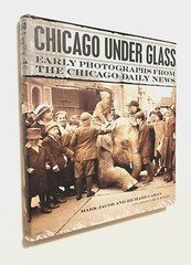 CHICAGO UNDER GLASS Historic Photographs from Chicago Daily News HC 1st Edition