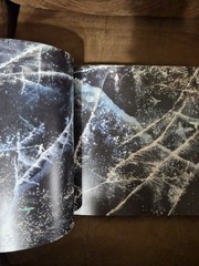 The Pen Manabu Ikeda Japanese Art Book 2017 Technical Pen Painting Japan