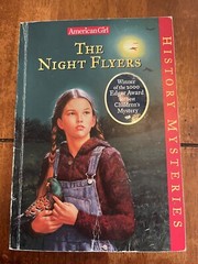 Night Flyers by Elizabeth McDavid Jones (1999, Trade Paperback)