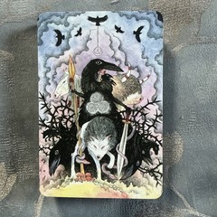Call of the Morrigan Oracle: A 45-Card Deck & Guidebook (Cards)
