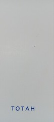Aleksandar Duravcevic: Youth (Totah • 2019 • Limited First Ed. of 300) • VG