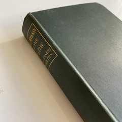 RARE The Mawkin of the Flow, Lord Ernest Hamilton, 1898, 1st Ed. (Antique Book)