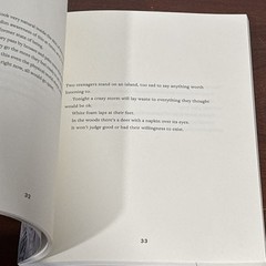 Two Teenagers by John Colasacco (2016, Horse Less Press) First edition